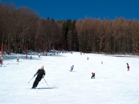 Lyžování (Holčovice)