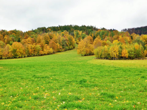 Iva Zanova, Janov / od jara do podzimu