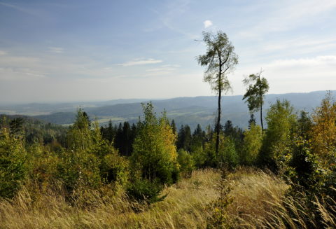  Petr Ceselsky, Ostrava / Janov / Větrno